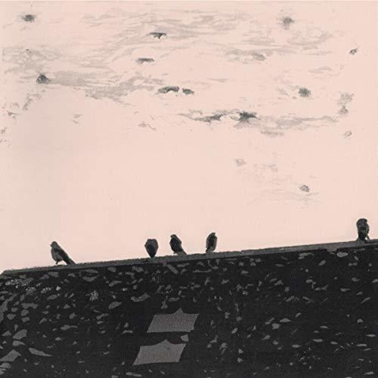 LP deska Stuart A. Staples - Arrhythmia (180 g) (LP)