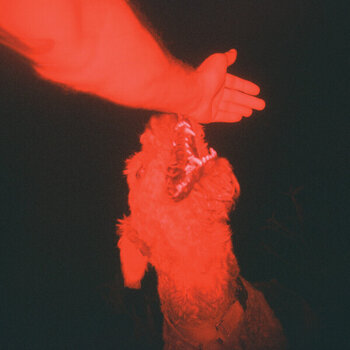 Vinyl Record Eli Winter - A Trick Of The Light (LP) - 1