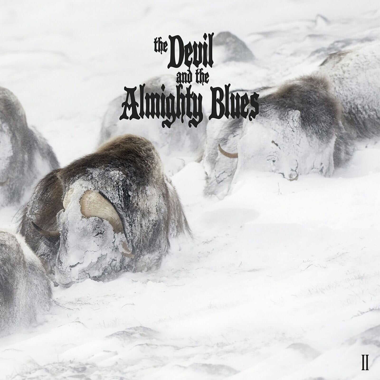 Vinylskiva The Devil And The Almighty Blues - II (Limited Edition) (LP)