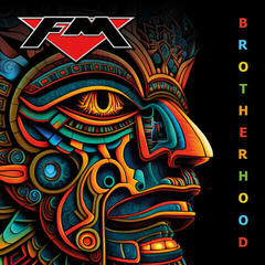 Disco in vinile FM - Brotherhood (Gatefold Sleeve) (2 LP)
