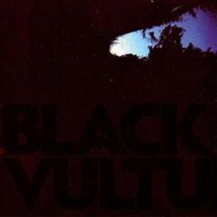 Disco de vinil Daniel Norgren - Black Vultures (10")