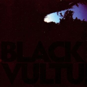 Disco de vinil Daniel Norgren - Black Vultures (10") - 1