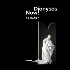 LP plošča Dionysos Now - Adriano 1 (LP)