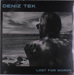 LP Deniz Tek - Lost For Words (LP)