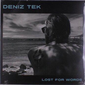LP Deniz Tek - Lost For Words (LP) - 1