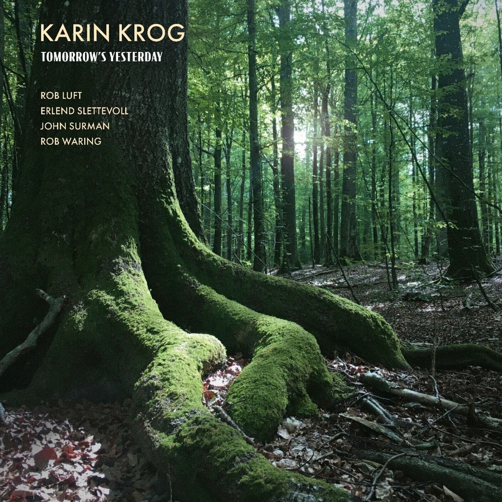 Vinyl Record Karin Krog - Tomorrow's Yesterday (LP)