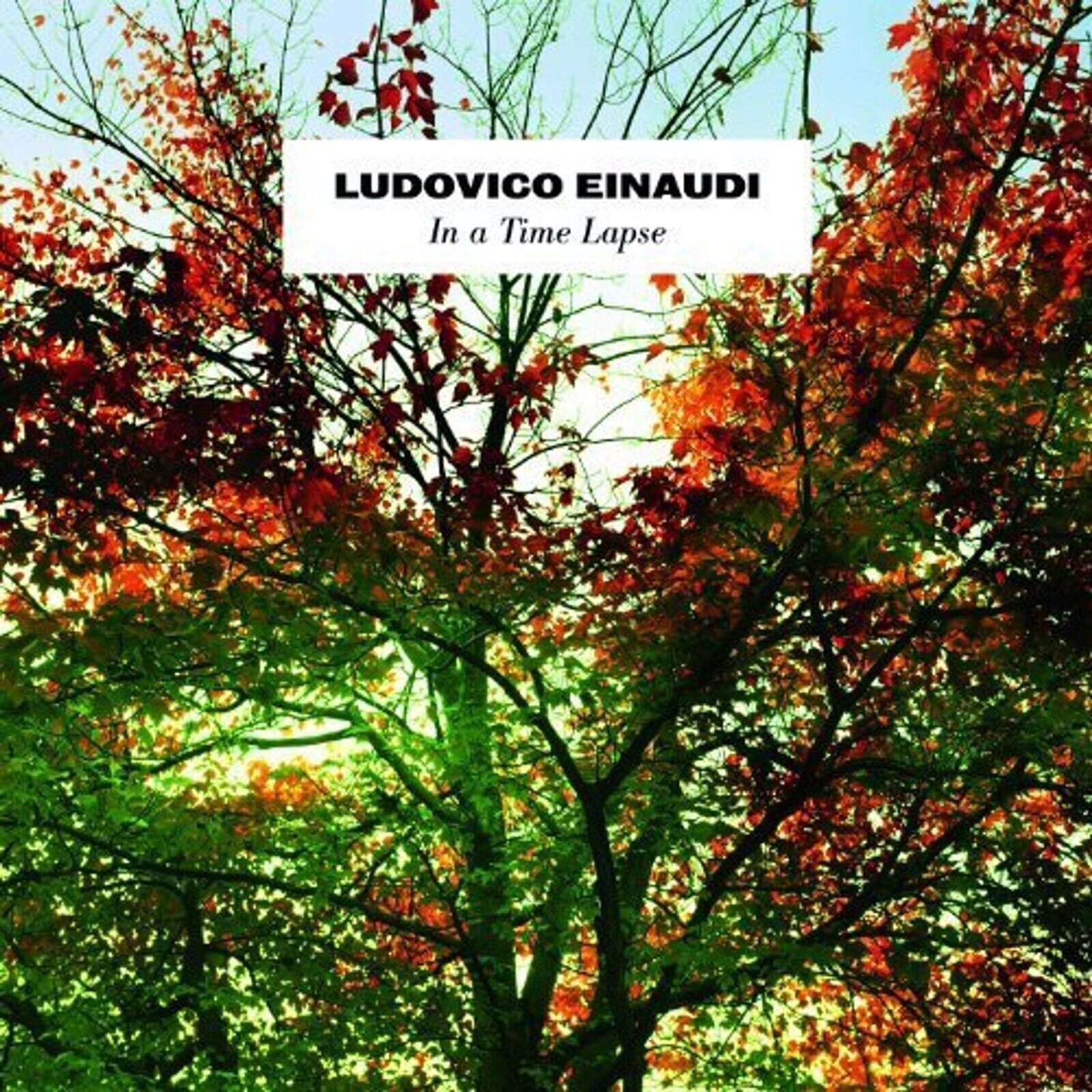 Disque vinyle Ludovico Einaudi - In A Time Lapse (180 g) (2 LP)