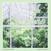 Disque vinyle Madeline Kenney - Perfect Shapes (Limited Edition) (Coke Bottle Green Coloured) (LP)