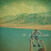 Vinylplade The March Divide - Lost Causes (LP)