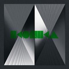 Disque vinyle Ikonika - Idiot (LP)