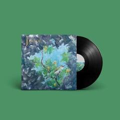 Schallplatte Jarboe - Sightings (LP)