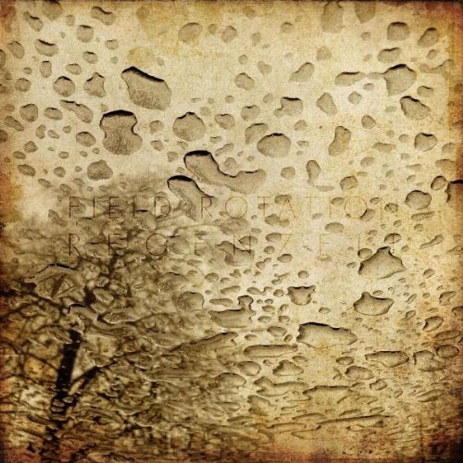 Schallplatte Field Rotation - Regenzeit (Limited Edition) (10")