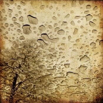 Schallplatte Field Rotation - Regenzeit (Limited Edition) (10") - 1