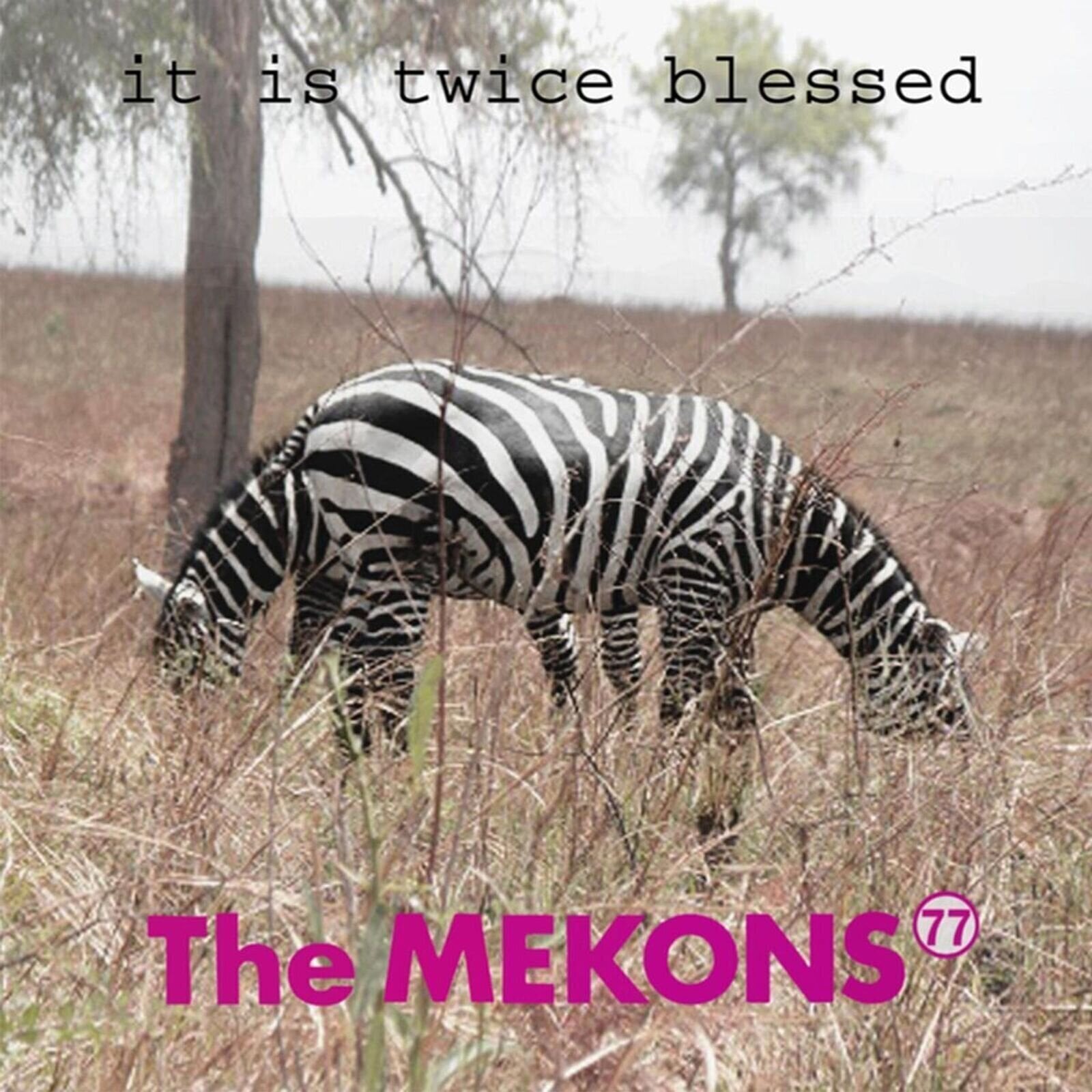 Vinylskiva The Mekons - It Is Twice Blessed (LP)