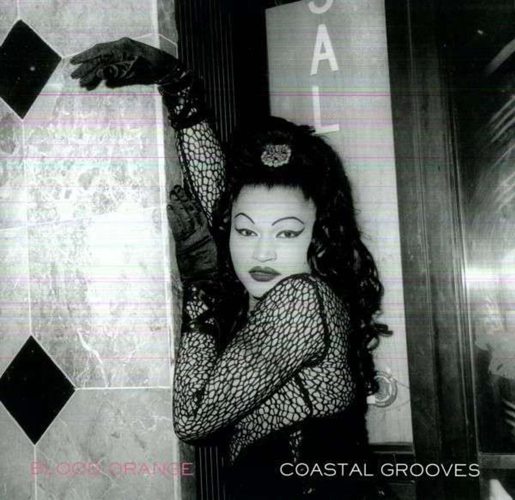 Vinylskiva Blood Orange - Coastal Grooves (LP)