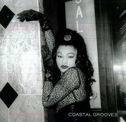 Vinylskiva Blood Orange - Coastal Grooves (LP)