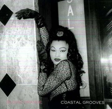 Vinylskiva Blood Orange - Coastal Grooves (LP) - 1