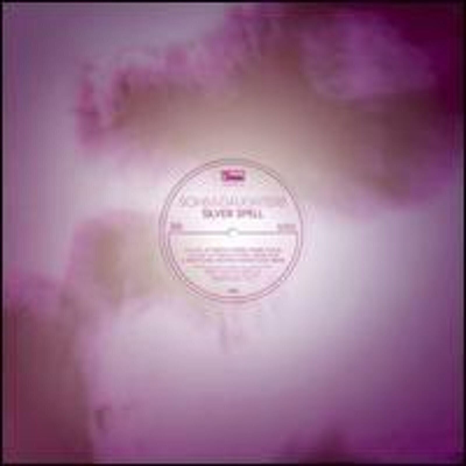 Hanglemez Sons And Daughters - Silver Spell (LP)