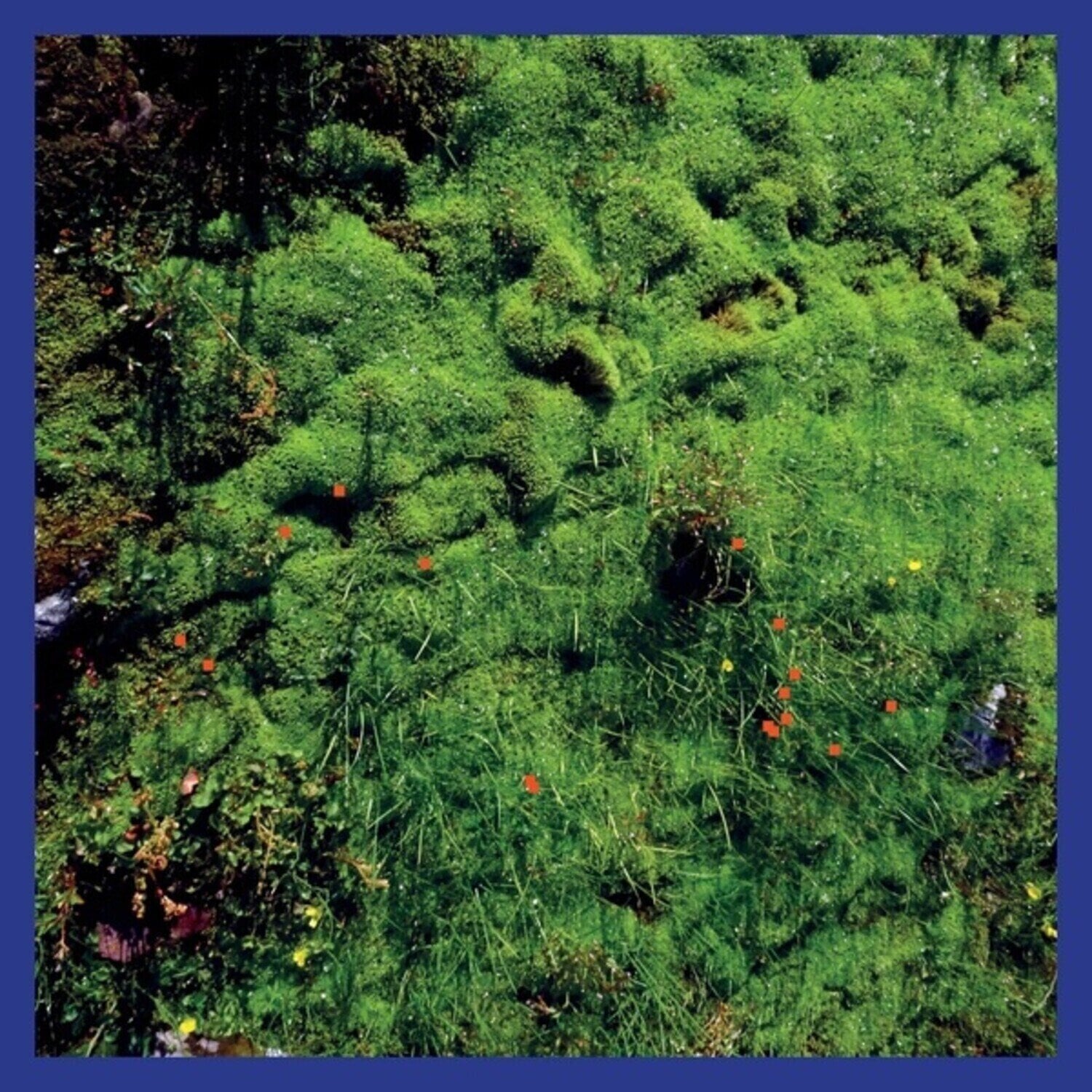 Disc de vinil Matthias Puech - Mt. Hadamard National Park (LP)