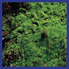 Disc de vinil Matthias Puech - Mt. Hadamard National Park (LP)