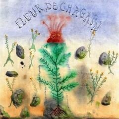 Disque vinyle Le Diable Dégoûtant - Fleur De Chagrin (LP)