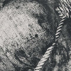 Disc de vinil Lifesick - Swept In Black (LP)