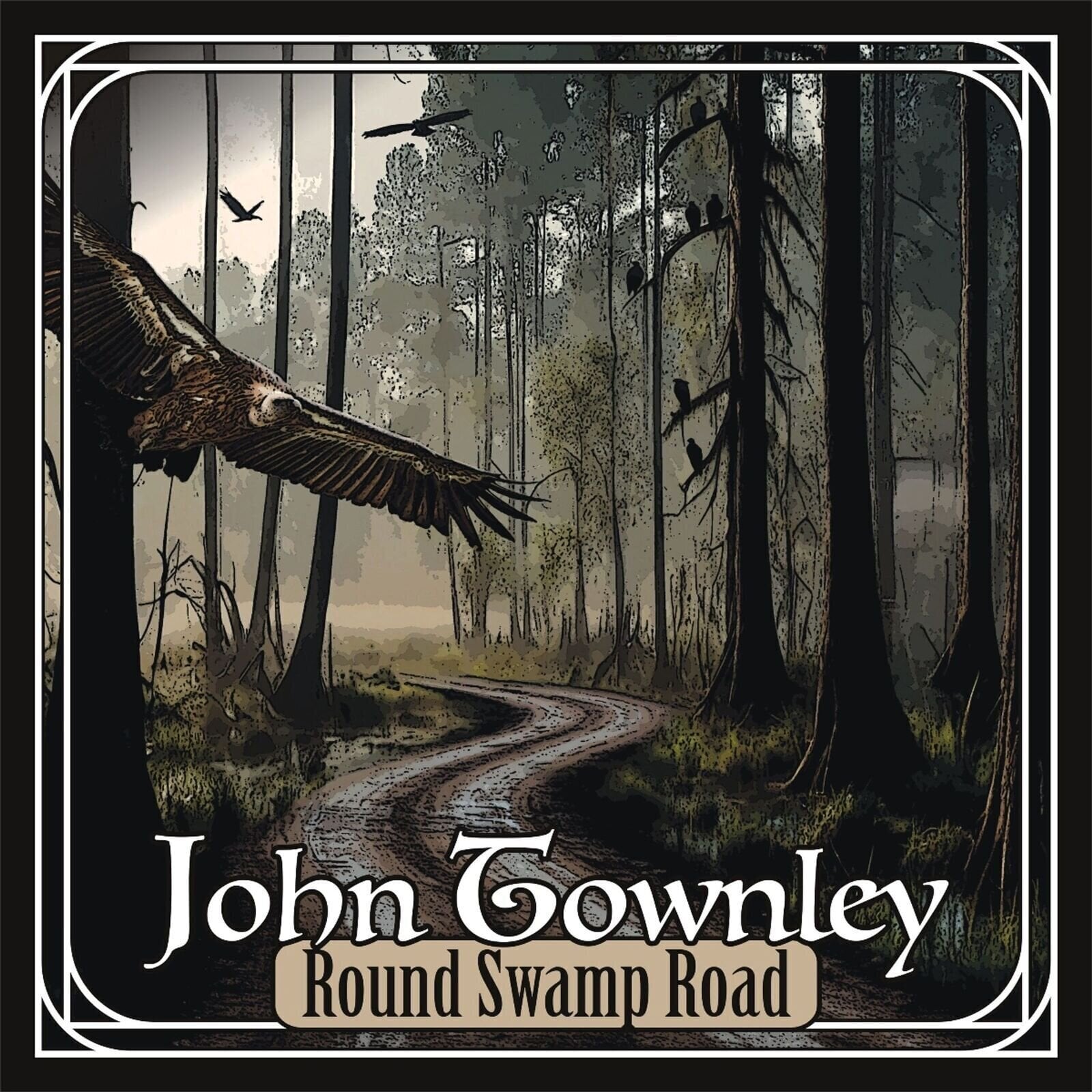 Vinylplate John Townley - Round Swamp Road (Limited Edition) (LP)