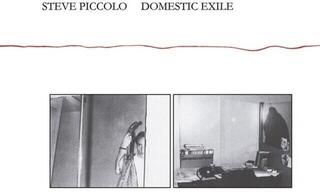 LP deska Steve Piccolo - Domestic Exile (Limited Edition) (Reissue) (LP)