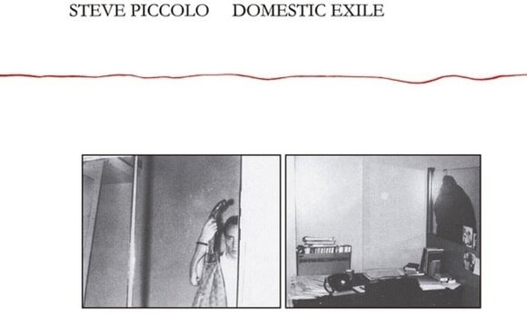 LP deska Steve Piccolo - Domestic Exile (Limited Edition) (Reissue) (LP) - 1