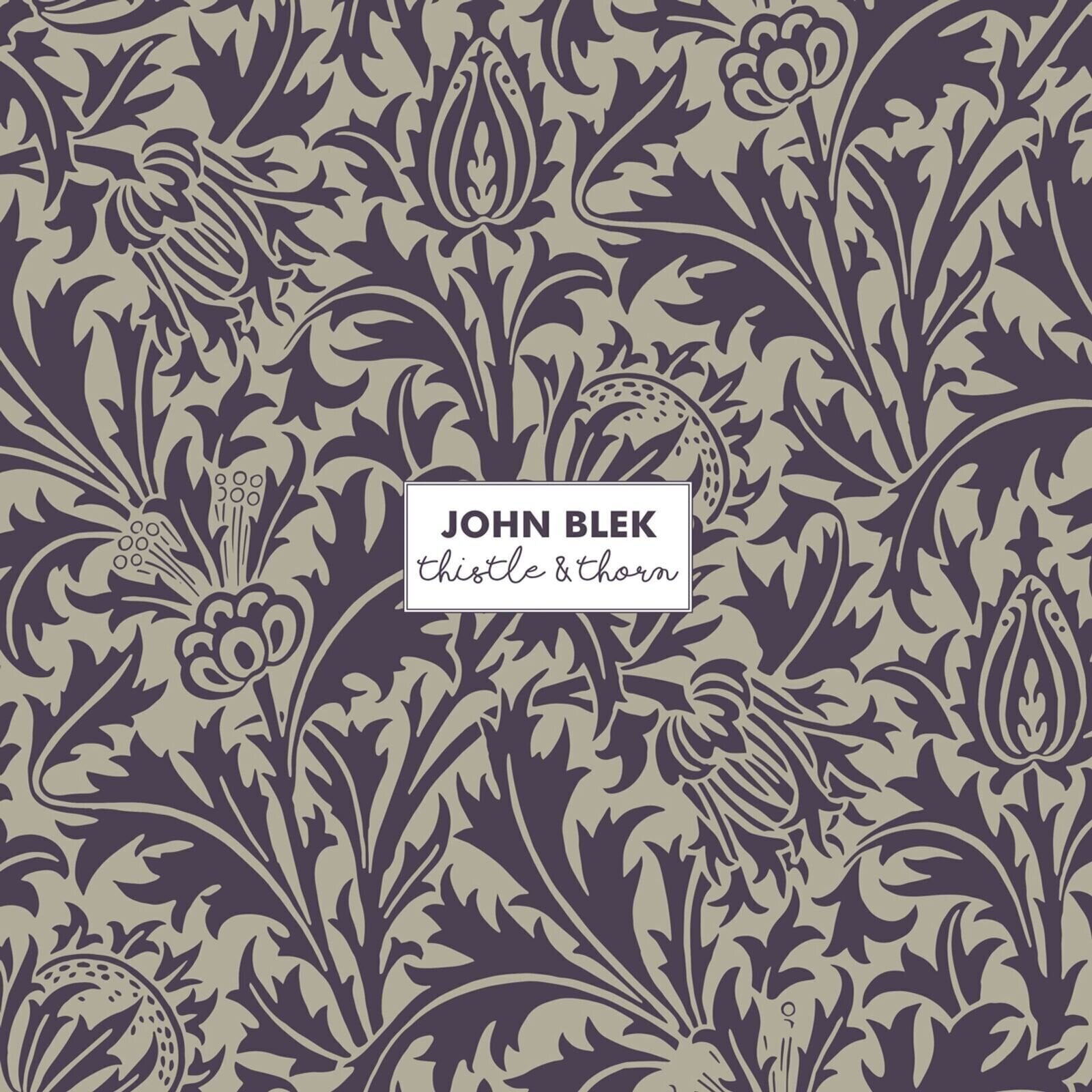 Płyta winylowa John Blek - Thistle & Thorn (LP)
