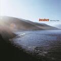 Incubus - Morning View (Reissue) (180 g) (2 LP)