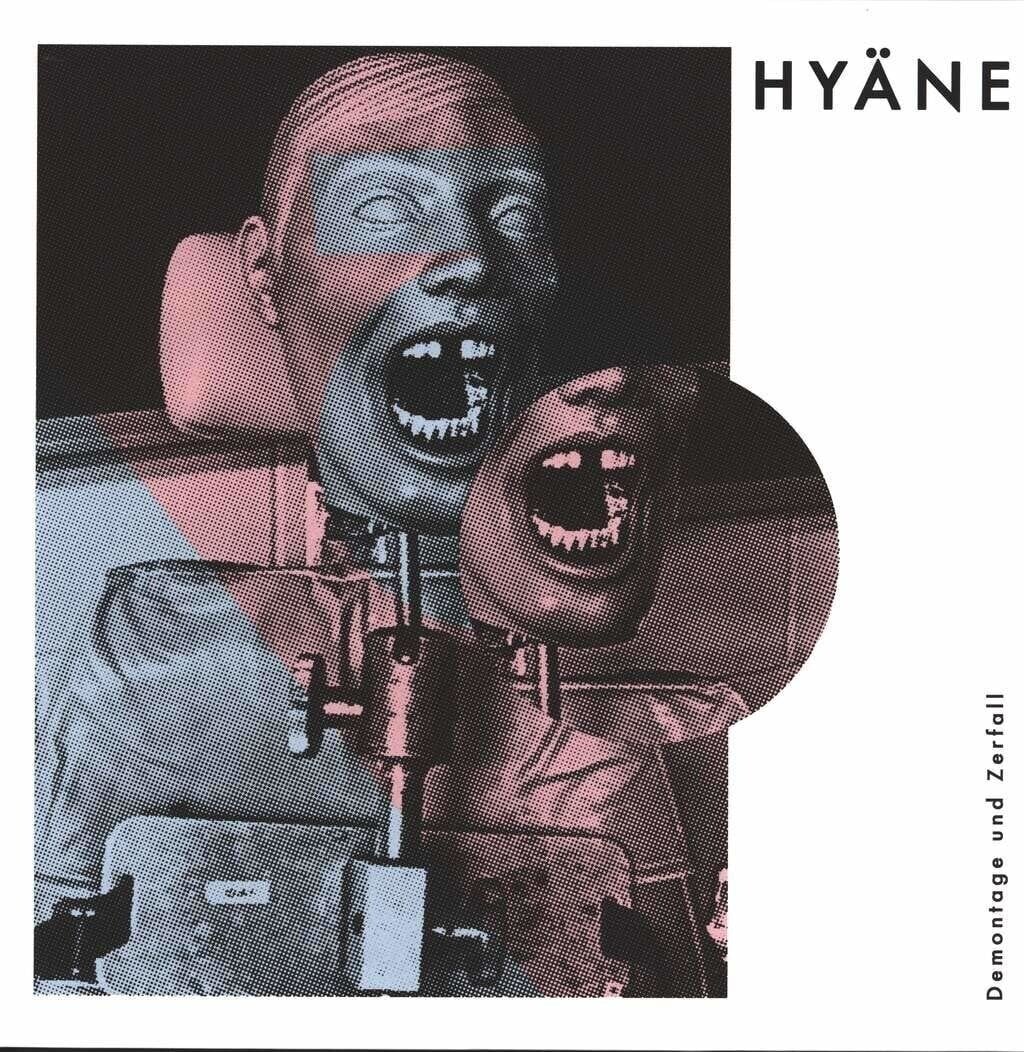 Disco in vinile Hyäne - Demontage Und Zerfall (LP)