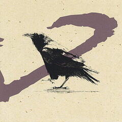 LP deska Little Sue - Crow (Reissue) (20th Anniversary Edition) (LP)