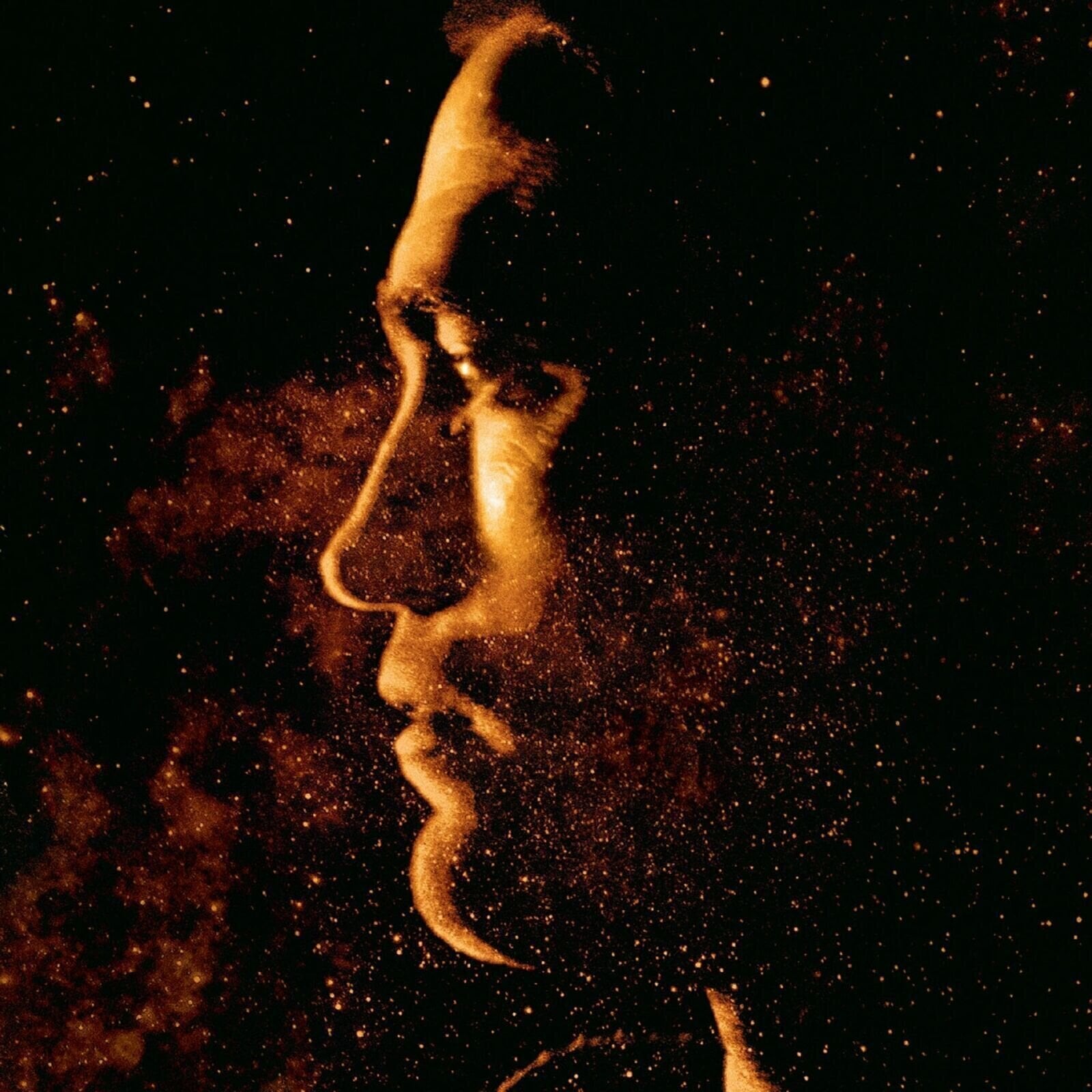 Disco in vinile Stuart A. Staples - High Life (LP)