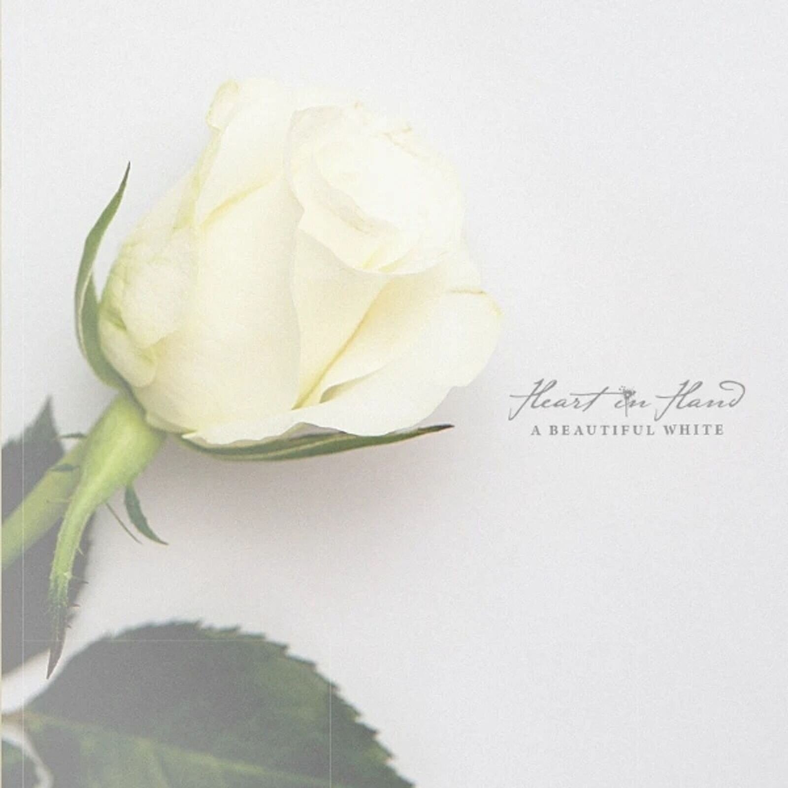 Disc de vinil Heart In Hand - A Beautiful White (Limited Edition) (Clear Coloured) (LP)