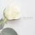 LP Heart In Hand - A Beautiful White (Limited Edition) (Clear Coloured) (LP)