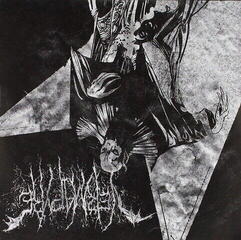 Vinyl Record Vermapyre & Vehrmoedr - Split (7" SP)