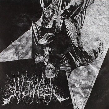 Disc de vinil Vermapyre & Vehrmoedr - Split (7" SP) - 1