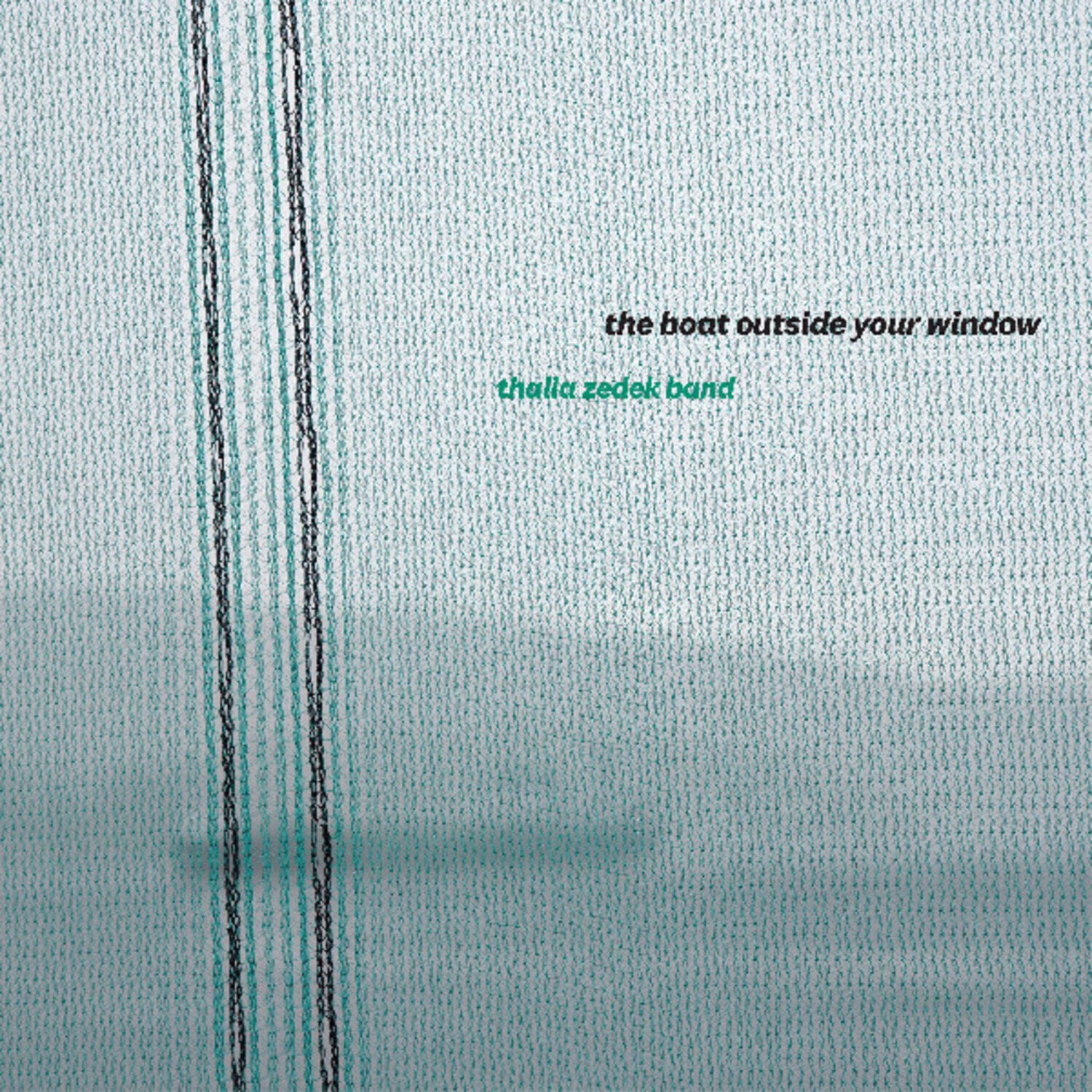 Schallplatte Thalia Zedek Band - The Boat Outside Your Window (Limited Indie Edition) (Coke Bottle Clear Coloured) (LP)