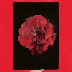 Vinylplade Activity - A Thousand Years In Another Way (LP)