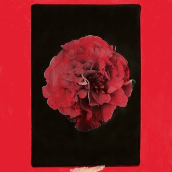 Vinylplade Activity - A Thousand Years In Another Way (LP) - 1