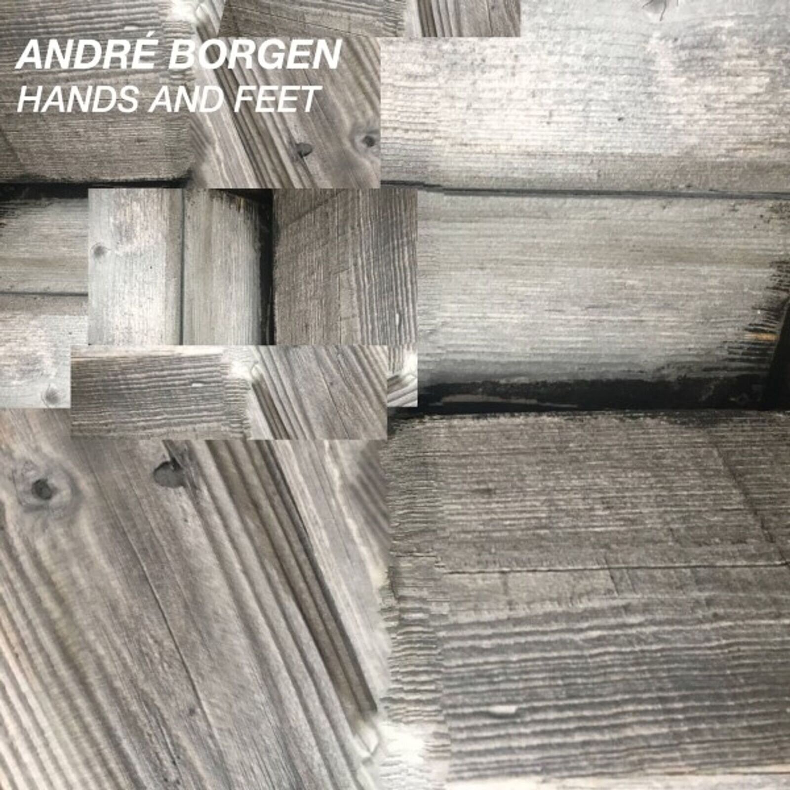 Disco in vinile André Hardang Borgen - Hands And Feet (LP)