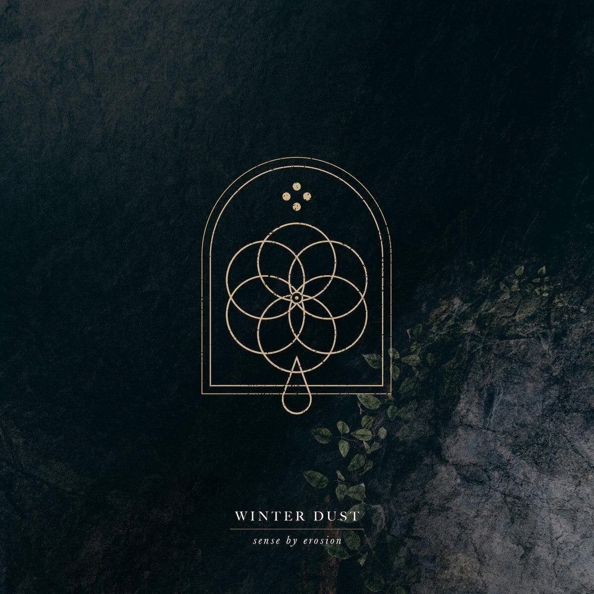 Vinylskiva Winter Dust - Sense By Erosion (2 LP)