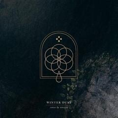 LP plošča Winter Dust - Sense By Erosion (2 LP)