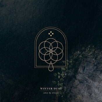 Vinylskiva Winter Dust - Sense By Erosion (2 LP) - 1