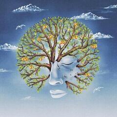 Vinyl Record Another Sky - Forget Yourself EP / Life Was Coming In Through The Blinds EP (EP)