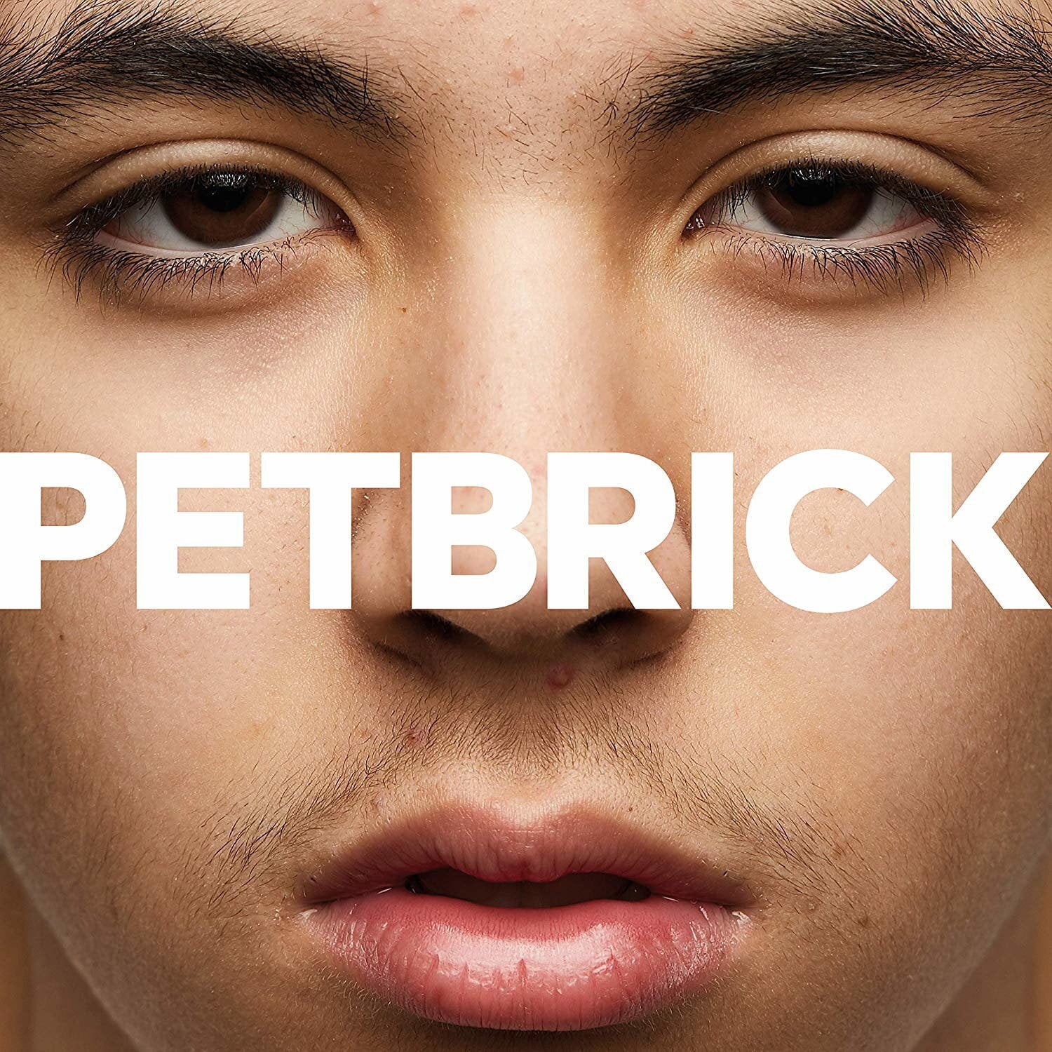 Vinylplate Petbrick - I (LP)
