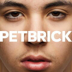 Vinylplate Petbrick - I (LP)