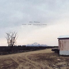 Disco de vinilo Will Johnson - Wire Mountain (LP)