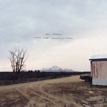 Vinyl Record Will Johnson - Wire Mountain (LP) - 1